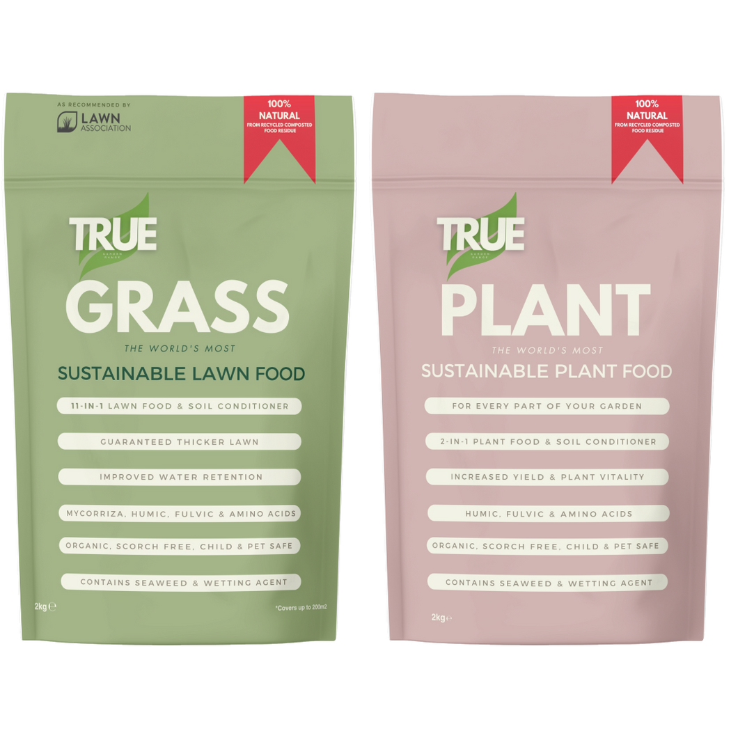 True Grass & True Plant